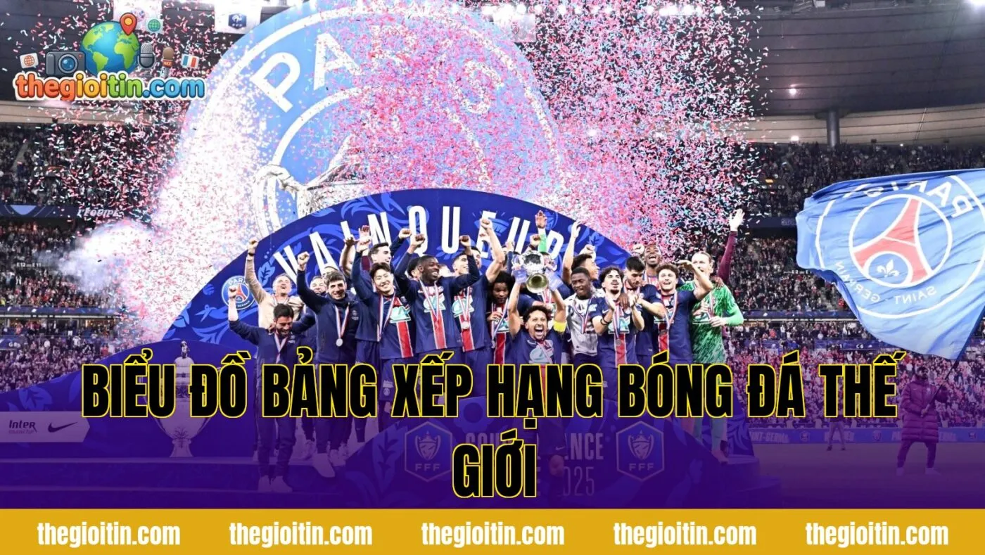 Biểu đồ bảng xếp hạng bóng đá thế giới